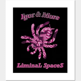 Igor & More Tarantula Liminal Stairs Pink Posters and Art